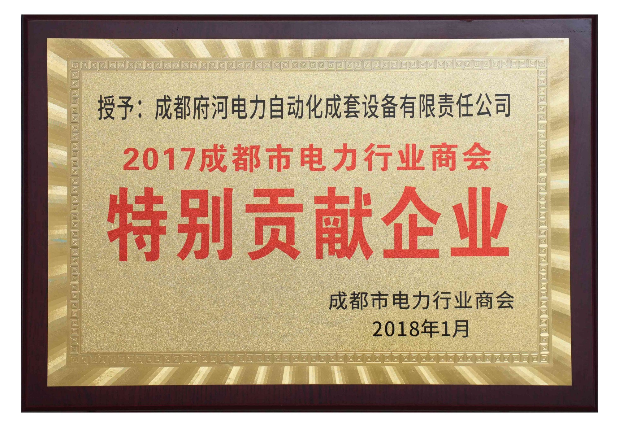 2017成都市電力行業商會 特別貢獻企業